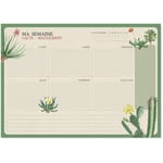 Buck - a4 botanical cacti frances kokonote weekly planner pad