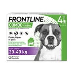 FRONTLINE Combo Chien - Anti-puces et anti-tiques pour chien - 20-40kg - 4 pipettes