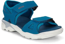 Ecco Biom Raft Sandal, Olympian Blue 31
