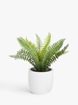 John Lewis Artificial Fern Bush in Cement Pot