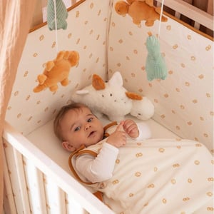 Gigoteuse Bébé Hiver 2.5 TOG - Turbulette Coton Naissance 0-6 Mois | Sac De Couchage Chaud Garçon/fille