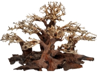4FISH Trærødder, Mini forest, 40x20x25 cm