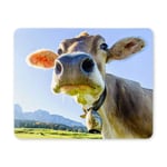 Funny Cow at Kaisergebirge Mountain Rectangle Non Slip Rubber Comfortable Computer Mouse Pad Gaming Mousepad Mat with Designs for Office Home Woman Man Employee Boss Work