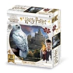 Grandi Giochi Harry Potter Edvige Puzzle lenticulaire Horizontal avec 500 pièces incluses et Emballage avec Effet 3D-PU10000, PU100000