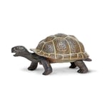Plastoy - 2608-29 - Figurine - Animal - Bebe Tortue Des Galapagos