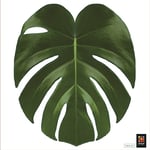 PLAGE 260212 Sticker smooth WC - Feuille tropicale, 37.7 x 32 cm