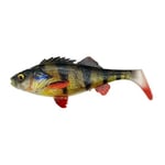 4D Perch Shad 20 cm Gummibete
