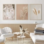 Tavla Canvas Tryck Pampas Gräs Växter Natur Landskap Torkat Gräs Modern Boho Botanisk Affisch Galleri Bilder 20x30cm(8x12in) x3 Oinramad