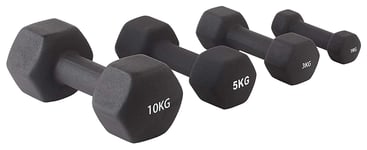 Shengluu Weights Dumbbells Sets Women Mini Hex Dumbbells for Women Men for Home Fitness Workout Equipment (Color : 1.5kg X2)