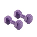 Youyijia 2x6kg Vinyl Dumbbell Training Weights Strength Fitness Dumbbells Home Gym Strength Exercise Equipment for Men And Women(Dark Purple)