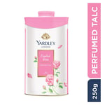 Yardley London English Rose Perfumed Talc for Women, 250gm/8.82 oz (Pack of 1)