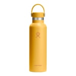 Standard Mouth Flex 621ml
