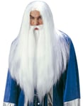 Trollkarl – Vit Lång Peruk och Skägg