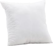 Skånska Möbelhuset Clara innerkudde 60 x cm - Vit