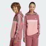 Tiberio 3-Stripes Colorblock Fleece Hoodie Barn