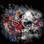 Paint by Numbers DIY Oil Painting kit Colored Double-Sided Skull 40x50cm Modern Pop Hand Digital Painting oil Tablet Adults and Kids Beginner Kits Pre-Printed Canvas Colorful Wall Art Home Decor T5727