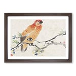 Big Box Art Parrot by Ren Yi Framed Wall Art Picture Print Ready to Hang, Walnut A2 (62 x 45 cm)