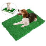 Unbranded Artificial pet dog grass toilet mat indoor potty tra