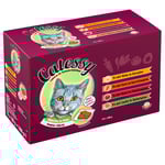 Ekonomipack: 108 x 100 g Catessy bitar i gelé och sås - 108 x 100 g med 12 olika sorter