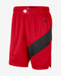 Toronto Raptors Icon Edition 2020 Men's Nike NBA Swingman Shorts