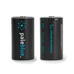 Pale Blue D USB-C Laddningsbara Batterier 2-pack