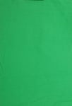 Green Screen Chroma Key Vihreä Kangas 3x6m