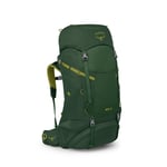 Osprey Ace 50L vandringsryggsäck (barn) - Green Canopy, ONE SIZE