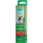 Tropiclean Fresh Breath Clean Teeth Gel - Berry Fresh 59 ml