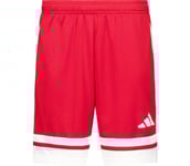 Squadra 25 Jr shorts Barn TEPORE/WHITE 116