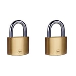 YALE Y110B/50/126/1 - Brass Padlock (50mm) - High Quality Indoor Locks for Ladders, Shutter Doors, Tools - 3 Keys - Standard Security (Pack of 2)