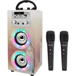 Machine à Karaoké Portable - DYNASONIC - Modèle 19 - 2 Micros - Bluetooth - Design Exclusif