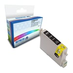 Refresh Cartridges Black T0481 Ink Compatible With Epson Printers