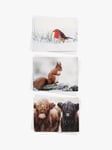 John Lewis Photographic Wildlife Bumper Charity Christmas Cards, Box of 30