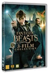 Harry Potter Fantastiske Skabninger 1-3 Film Collection