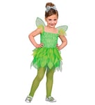 WIDMANN - Costume enfant fée des bois, vert, robe, ailes de fée, déguisements carnaval, carnaval