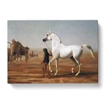 Jacques Laurent Agasse The Wellesley Grey Arabian Classic Painting Canvas Wall Art Print Ready to Hang, Framed Picture for Living Room Bedroom Home Office Décor, 50x35 cm (20x14 Inch)