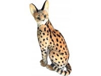 Dubi Serval 49Cm