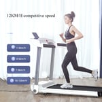 XXLHH Treadmill Home Fitness Equipment Household Silent Treadmill Foldable Weight Loss Mute Walking Machine