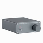 Amplificateur Stéréo 2 Canaux Mini Hi-Fi Classe D Ampli Intégré pour Enceintes Passives 160W x + Alimentation 24V