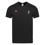 Liverpool FC T-Shirt Norge Flagga - Grå adult A15652