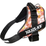 Julius-K9 IDC Sele Strl. 4 Rosa Med Blommor 96-138 cm