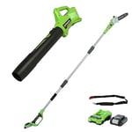 Greenworks 24V 20cm Pole-Saw, Blower with 2Ah Battery/Charger