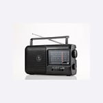 WE Radio Portable Grandes Ondes : FM/AM/SW/LW avec Haut-Parleur intégré, Antenne Externe, avec Poignée de Transport - Noir