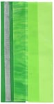 Pracht Creatives Hobby 7074-20035 décoratives Mix Vert/Argent, 3 Demi-plaques, env. 200 x 50 x 0, Bande de Cire, pour Modeler et décorer des Bougies, Green-Tone Silver, 200 x 100 x 0,5 mm