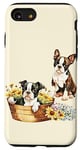 Coque pour iPhone SE (2020) / 7 / 8 Chiots Boston Terrier dans un panier en osier floral