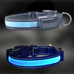 LED Hundhalsband med Solcellsladdning -  Blå, Storlek (Färg: Blå, Storlek: Small (7-15 kg))