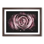 Big Box Art Pink Rose Flower Vol.2 Paint Splash Framed Wall Art Picture Print Ready to Hang, Walnut A2 (62 x 45 cm)