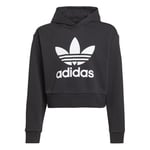 adidas Original Adicolor Cropped Hoodie kids IJ9719