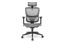 Sharkoon OfficePal C30M - chair - mesh fabric - gray