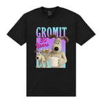 Wallace and Gromit Unisex Adult Gradient Birthday T-Shirt